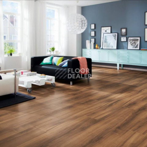 Haro Tritty 100 Gran Via 4V ИТАЛЬЯНСКИЙ ОРЕХ 526714 фото 3 | FLOORDEALER